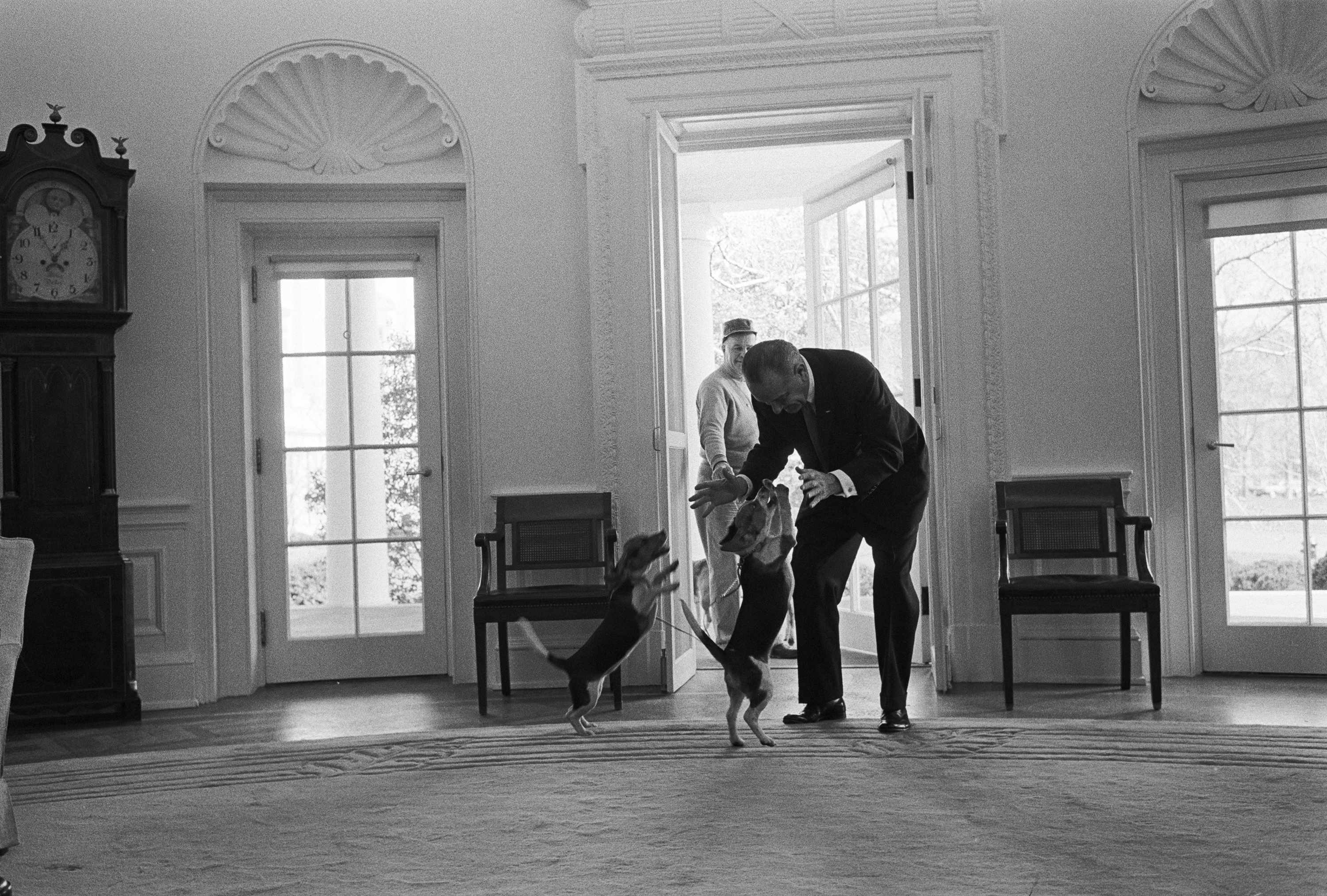 President Johnson plays with two beagles in the Oval Office.