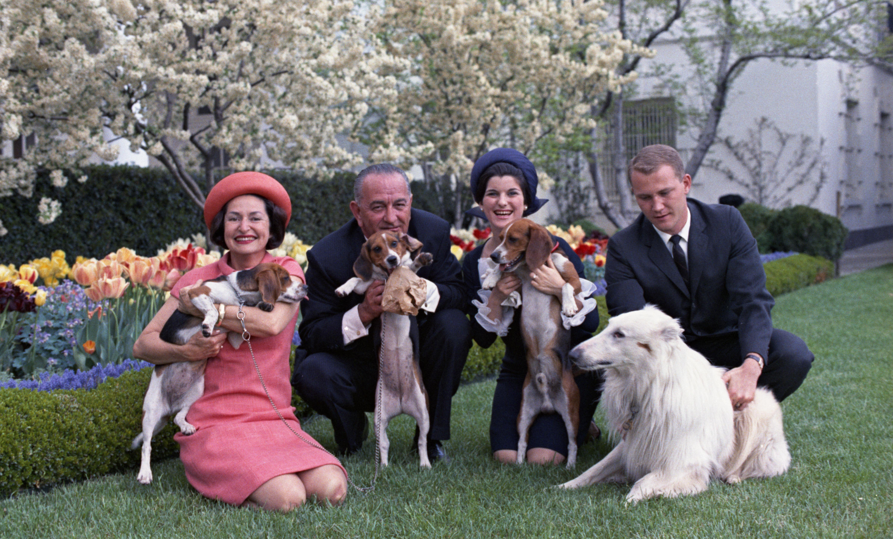 Lady Bird Johnson, President Johnson, and daughter Luci each hold beagles while Patrick Nugent pets another Johnson family dog, Blanco.
