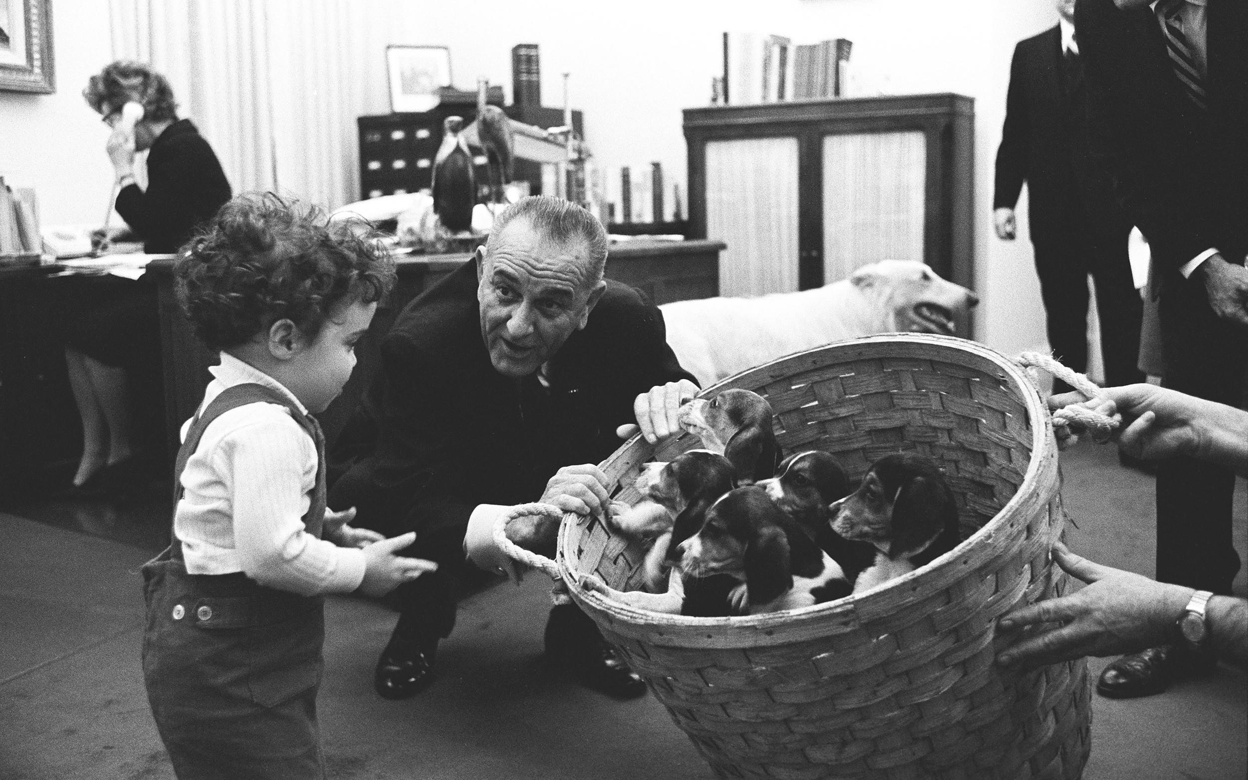 President Lyndon B. Johnson shows puppies (sired by beagle Him) to Courtney Valenti.