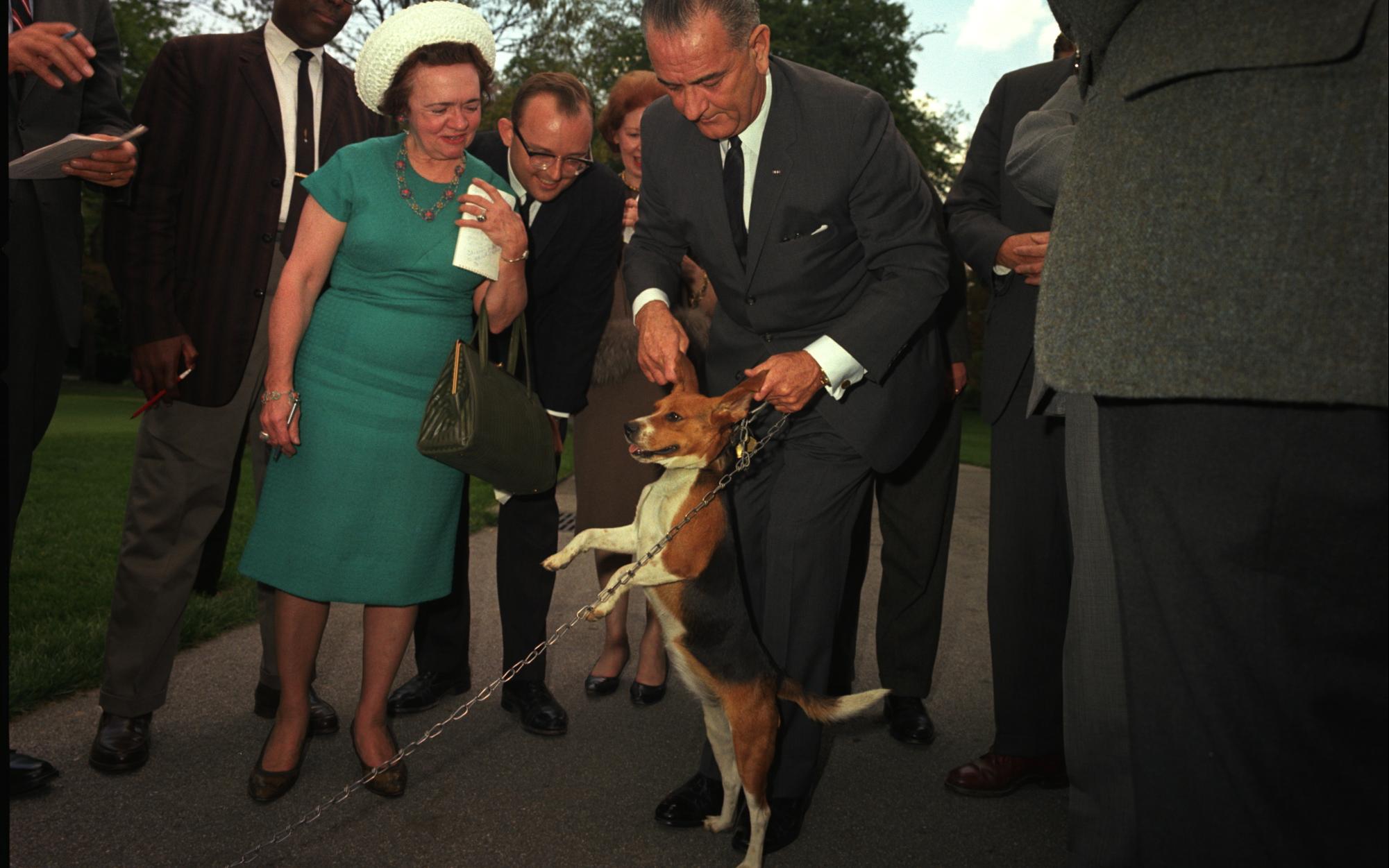 President Johnson lifts one of his beagles by the ears as members of the press look on.