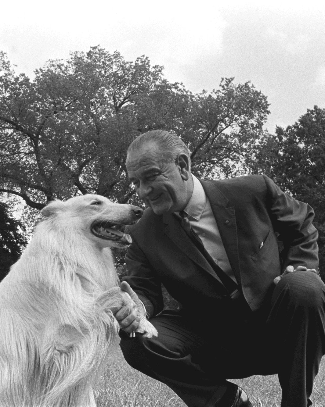 President Johnson, smiling, grasps Blanco's paw while he sits.