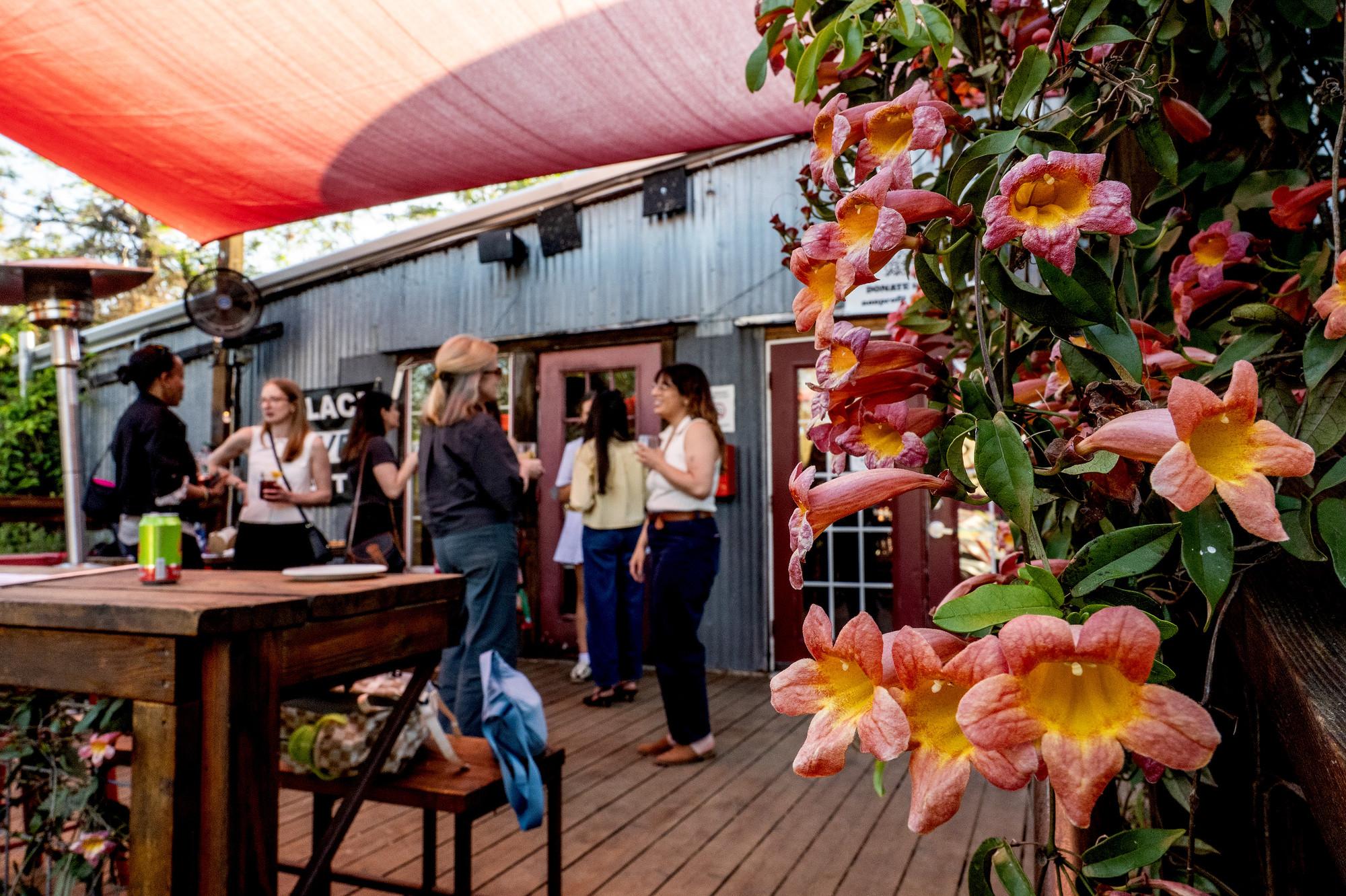 LBJ Library photo by Jay Godwin